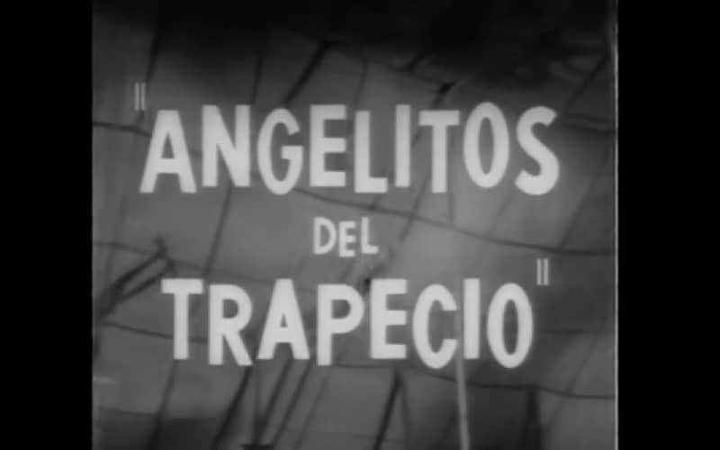 Angelitos del trapecio